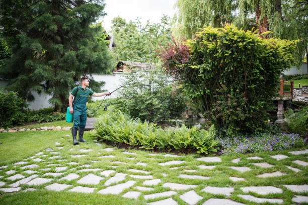 Best Mosquito Control Services  in Egypt, AL