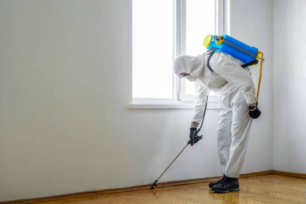 Best Pest Control Cost  in Egypt, AL
