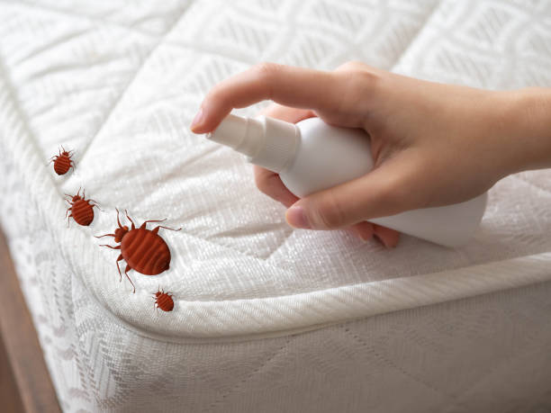 Best Pest Removal Services  in Egypt, AL